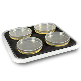 Bio PP-4, platform