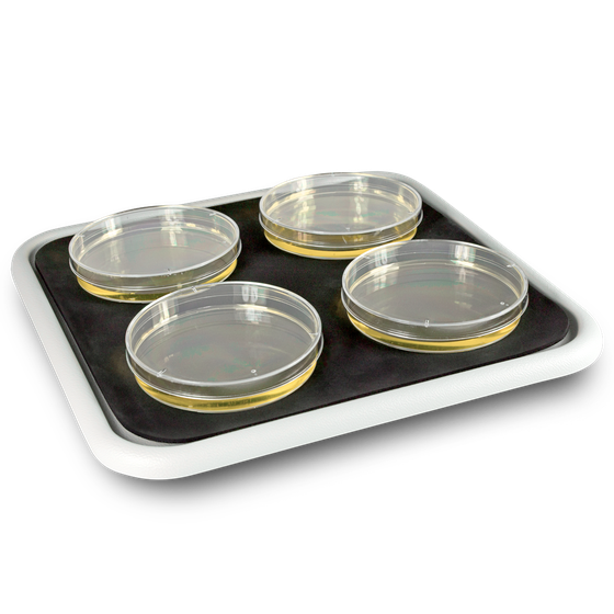 Bio PP-4, platform