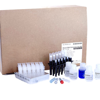Réactifs pour BioMagPure 12 Plus