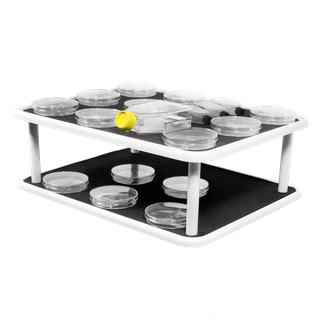 PP-20/2, platform