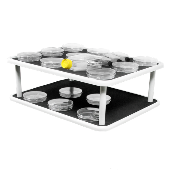 PP-20/2, platform