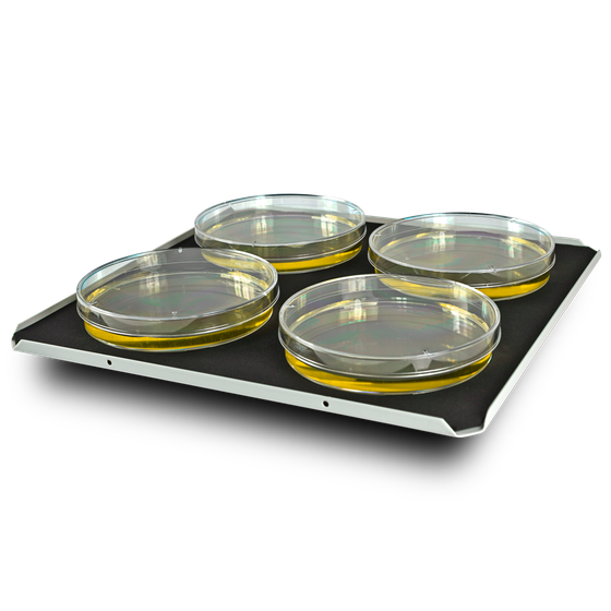 PP-4, platform